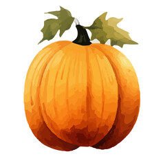 Watercolor Pumpkin. Fresh and healthy vegetables. Farm vegetables. fall autumn Pumpkin element Png.