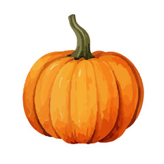 Watercolor Pumpkin. Fresh and healthy vegetables. Farm vegetables. fall autumn Pumpkin element Png.