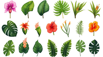 Set of tropical leaves and flowers isolated on transparent background. Beautiful tropical exotic foliage. Generative AI - obrazy, fototapety, plakaty