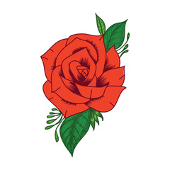 red rose vector isolated on white background