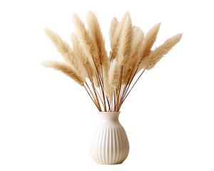 Pampas grass in decor vase on white - Powered by Adobe