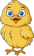 Cute little chick cartoon on white background