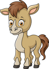 Obraz premium Cute baby donkey cartoon on white background