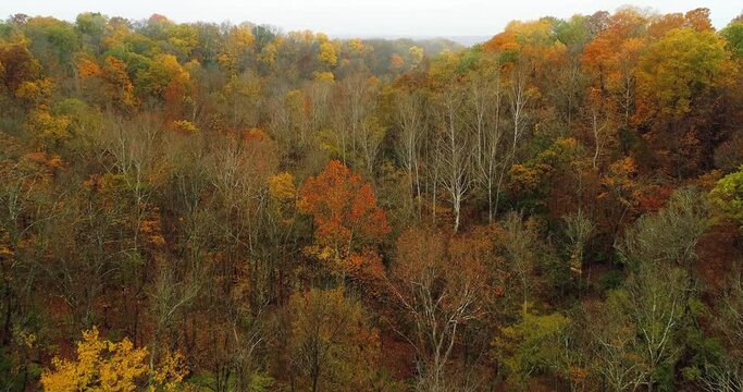 Peaceful fall morning flying through colorful autumn landscape in the Midwest. Filmed in 4k, drone video.