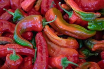 Close up of fresh Red Chili Peppers in Espanola New Mexico United States
