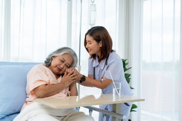 Obraz premium Nurse encourages elderly Asian patient and gives advice on self-care