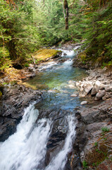 waterfall in the forest