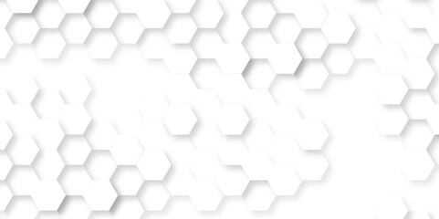 Abstract background with hexagon, modern abstract vector polygonal pattern. Futuristic abstract honeycomb technology white background. Luxury white hexagon pattern.