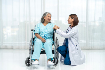 Obraz premium A female doctor cares for an elderly Asian woman who is in a wheelchair because she was injured in an accident.