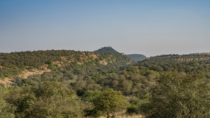 Fototapeta na wymiar From the observation deck there is a view of the endless jungle. Thickets of green forest and picturesque mountains against a clear blue sky. Copy space. India. Ranthambore National Park.