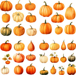 Set of Watercolor fall and Autumn Pumpkin. watercolor autumn composition with pumpkins. Fresh and healthy vegetables.
