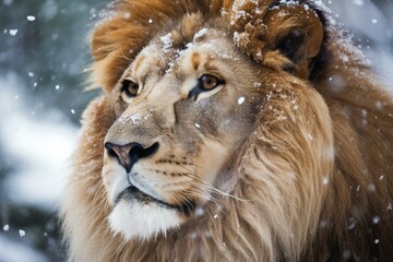 Image of a majestic lion covered in snow. Generative AI