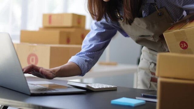 A young woman who owns a small online store working from home is calculating income, expenses, product costs and profits.
