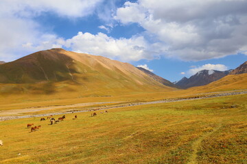 Fototapeta na wymiar Landscape of Tian Shan Mountains next to Kol Ukok lake in Naryn region, Kyrgyzstan