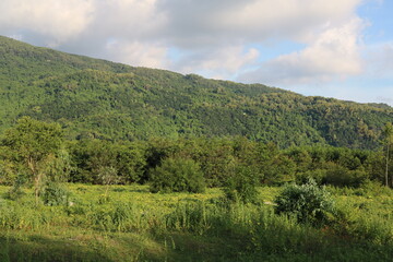 Naklejka premium Beautiful and fresh natural scenery