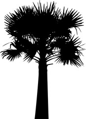 silhouette of  palm tree on white background vector art,  black color ,
