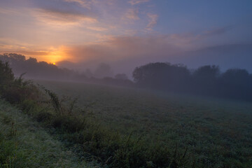 Atmospheric field landscape with trees at sunrise, fog glows orange in Lower Saxony, Germany, Europe