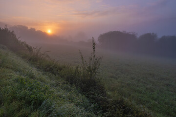 Atmospheric field landscape with trees at sunrise, fog glows orange in Lower Saxony, Germany, Europe