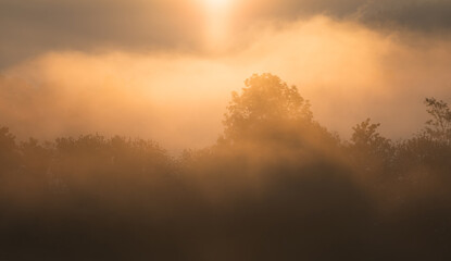 Atmospheric field landscape with trees at sunrise, fog glows orange in Lower Saxony, Germany, Europe