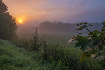 Atmospheric field landscape with trees at sunrise, fog glows orange in Lower Saxony, Germany, Europe