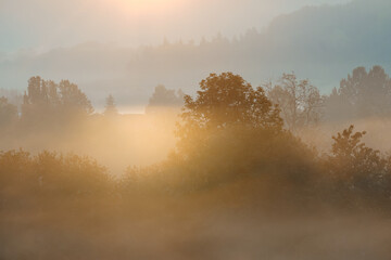 Atmospheric landscape with trees at sunrise, fog glows orange in Lower Saxony, Germany, Europe