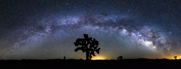 Milky Way Galaxy Arch Over Joshua Tree - Panorama  - obrazy, fototapety, plakaty
