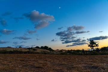 Obraz premium 억새풀 평원,의 저녁 노을- 제주도, 대한민국