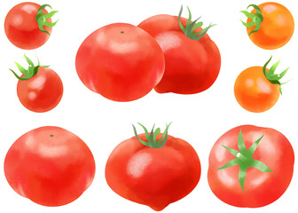 水彩で描いたトマトとプチトマトのイラストセット／Illustration set of tomatoes and cherry tomatoes drawn in watercolor