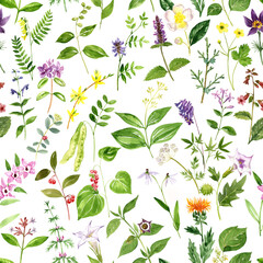 Naklejka premium watercolor drawing seamless pattern with green plants and flowers at white background, hand drawn illustration, natural backdrop