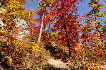 Beautiful autumn mountain landscape from a bird's eye view on sunny day.Mountains covered with trees in autumn with red, orange leaves. Autumn in the forest. Table Rock, Great Smokey Mountain, SC, USA