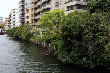 月島川沿いに建ち並ぶマンション群