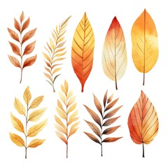 Collection of autumn leaves, watercolor illustration, set