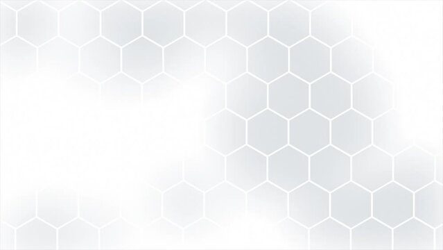 Simple and elegant White and Black color hexagonal pattern futuristic minimal background