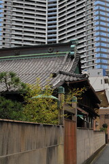 瓦屋根の古い建築物と最新のタワーマンション