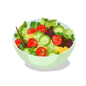 Vibrant Salad in bowl Illustration Vector 