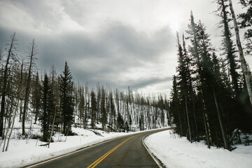 Road through snow covered forest with gray clouds in sky