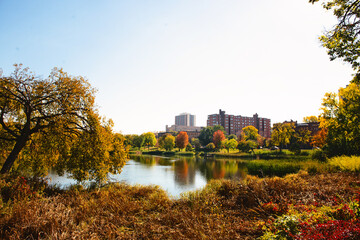 Beautiful view of Minneapolis in fall.