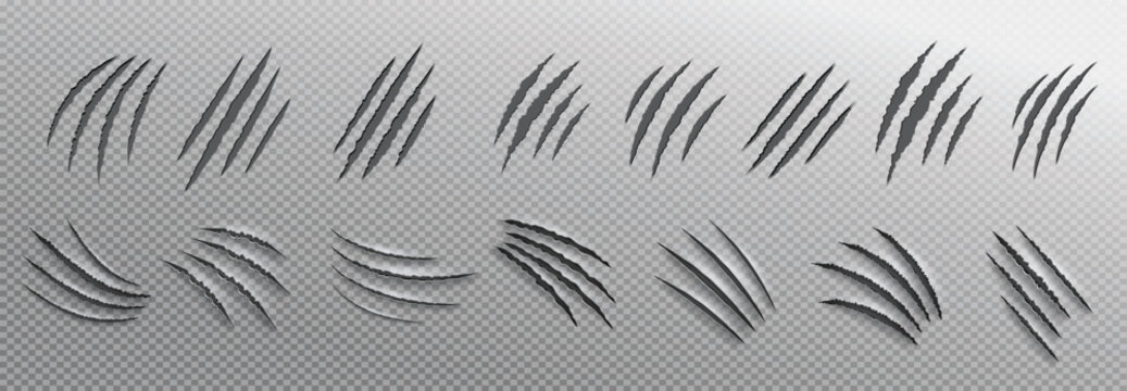Claws Ripping Through Images – Browse 1,728 Stock Photos, Vectors, and ...