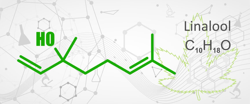 Structural chemical formula of linalool. Linalool is an aromatic terpene, the major component of essential oils, used in floral fragrances.
