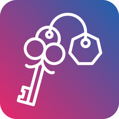Vector Design Key Icon Style