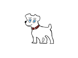 dog with blue eyes