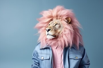 Funny lion portrait in fashion stylish outfit on blue background in studio