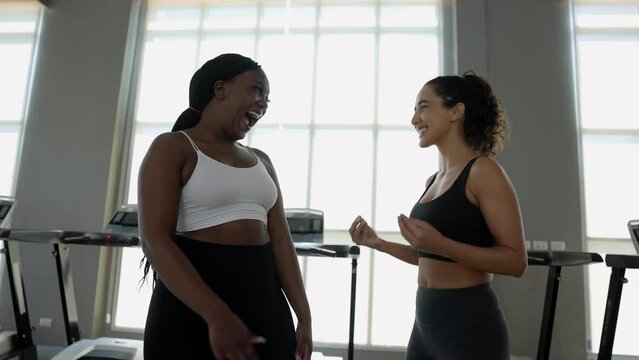 Female personal trainer and her client have good fun, talking having fun and giving high five in gym before training. 