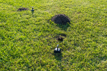 Mole trap set on the lawn, close-up image
