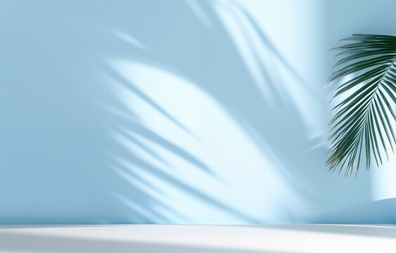 Empty white room with palm leaf shadow on blue wall background. High quality photo