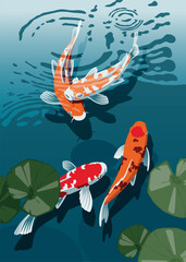 Fototapeta na wymiar Beautiful colored Koi Carps swimming in the pond. Vector illustration.