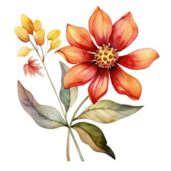 Naklejka premium watercolor autumn flower clipart