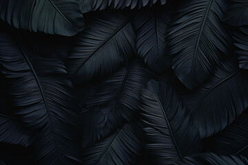 black and green tropical leaves background