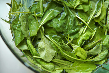 Closeup top view plant-based style Fresh salad picked wild rocket or arugula soaking transparent glass bowl at kitchen table in vinegar and baking soda water wash before eating concept 