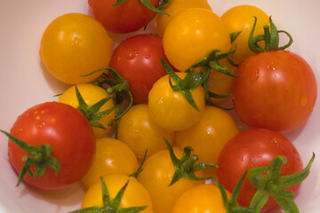 Homegrown Beauty: Red and Yellow Cherry Tomatoes in a White Bowl on the table (Centered)
